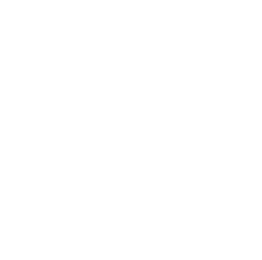 SysteFix Isotipo White